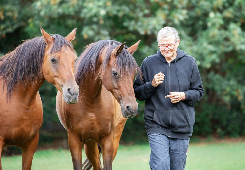 D.E.A.P-Healing-Equine-Therapy